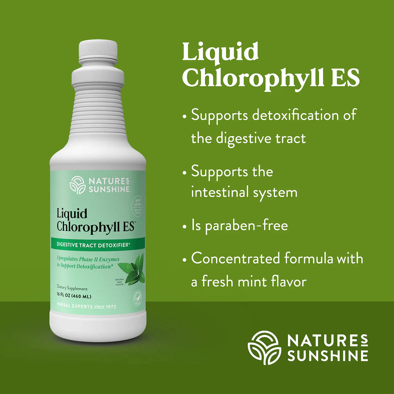 Liquid Chlorophyll 32 fl. oz